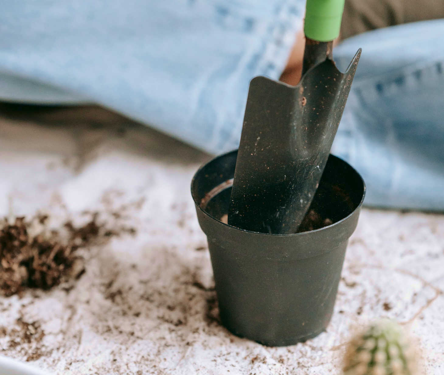 gardening shovel in a small pot
