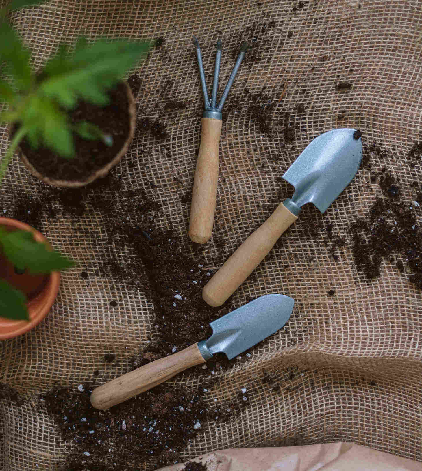 a variety of gardening tools with scattered soil around