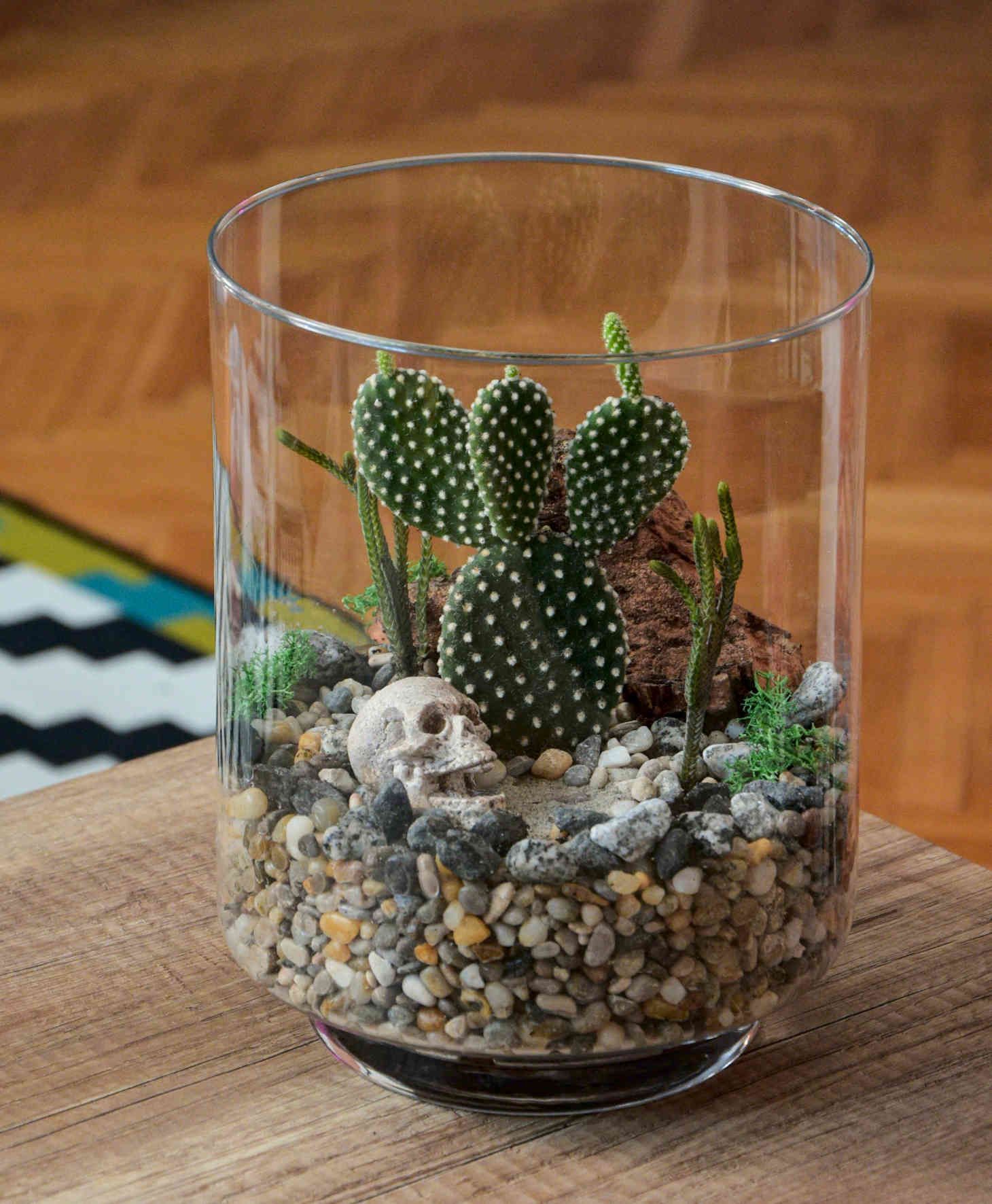 cactus in a small container