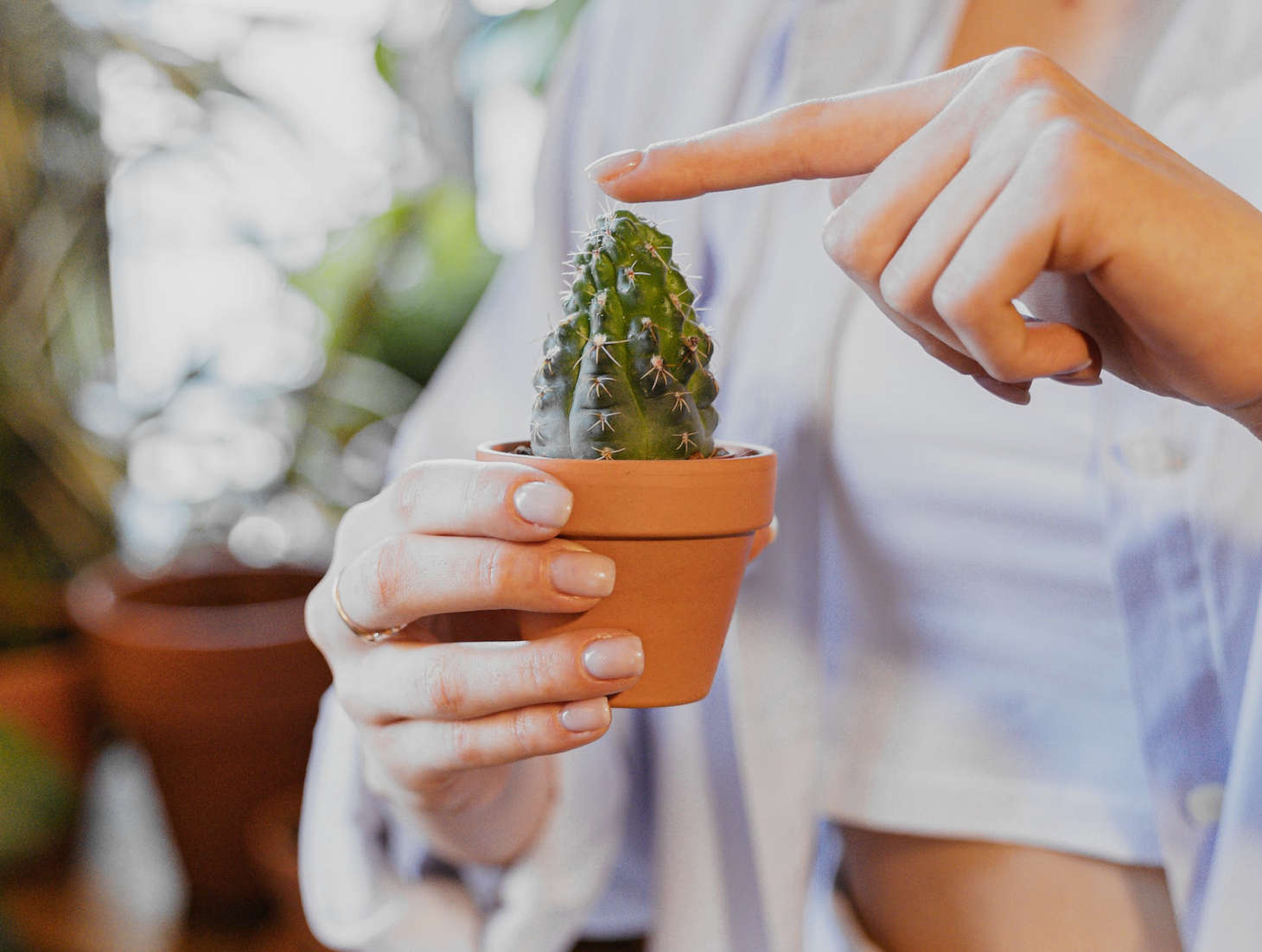 holding a tiny potted cactus