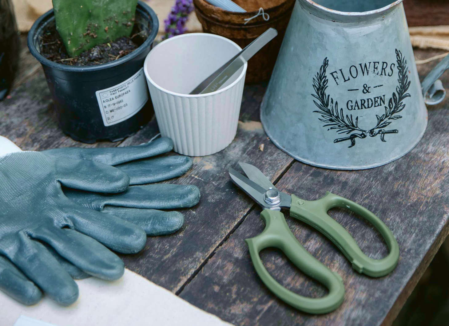 pruning scissors and other gardening tools