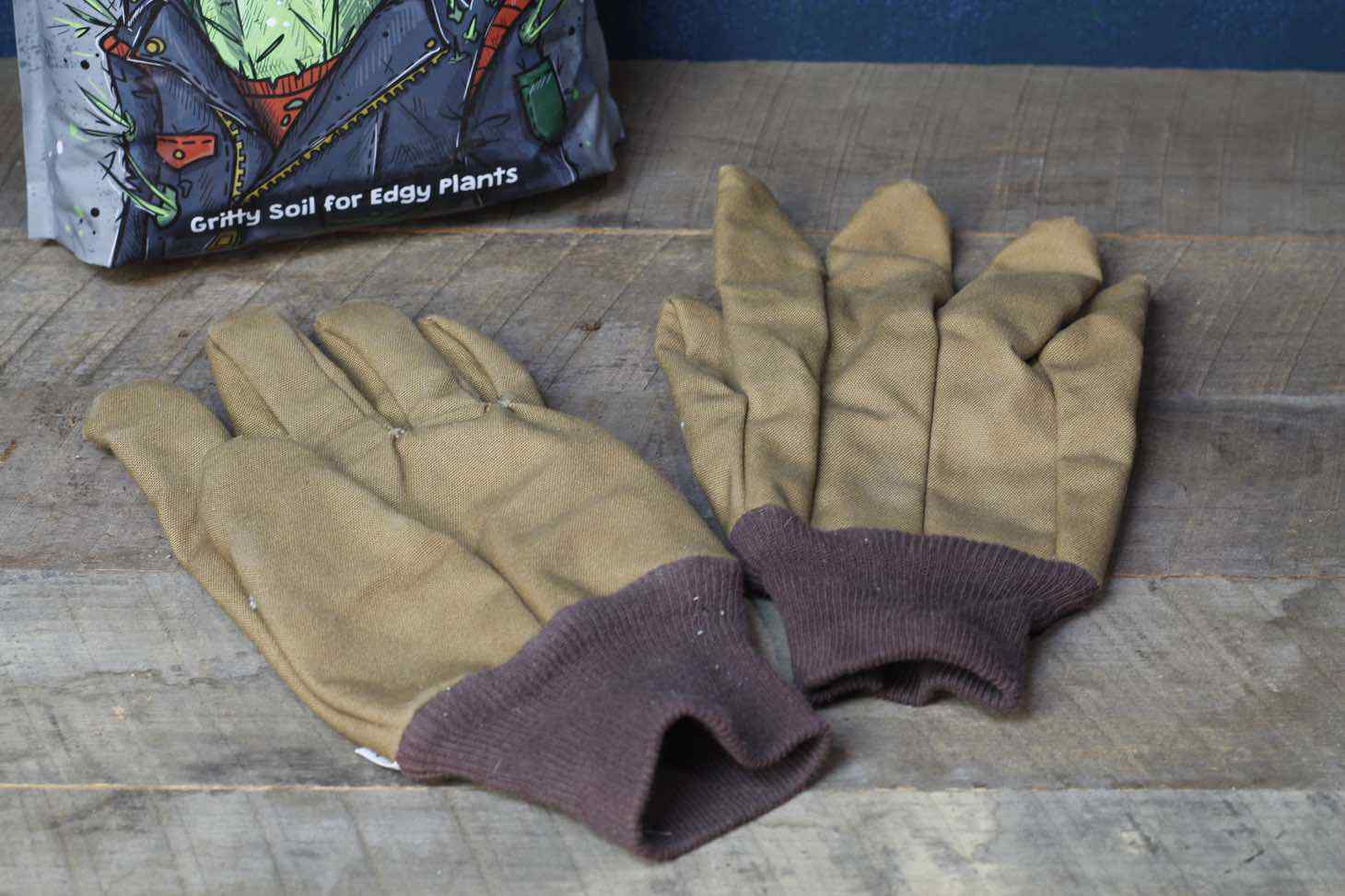 Work Gloves for Cactus Handling