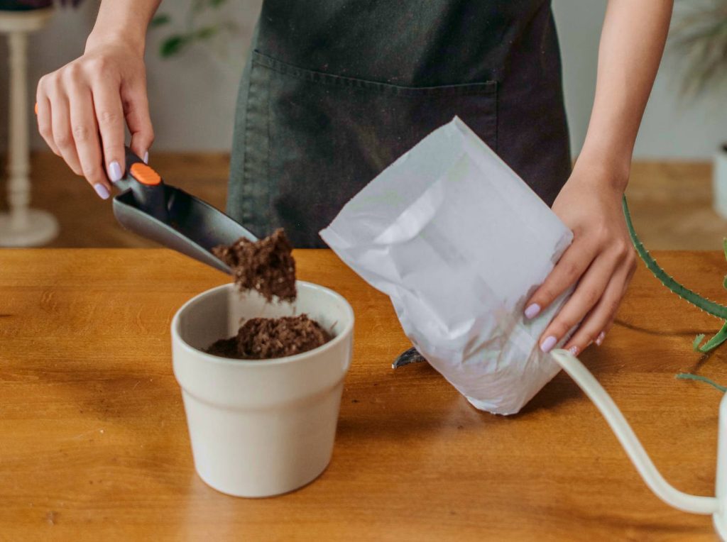 putting soil in a pot