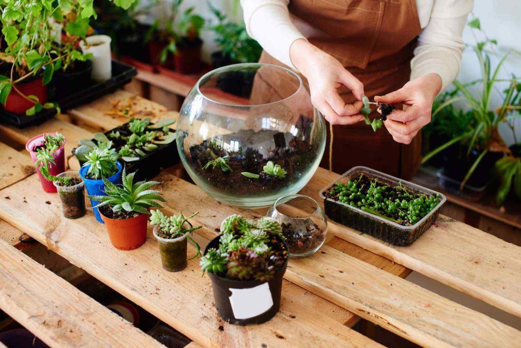 terrarium preparing to add plants