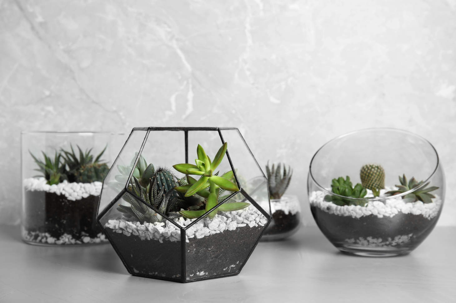 4 Open Glass Terrariums With Various Succulents