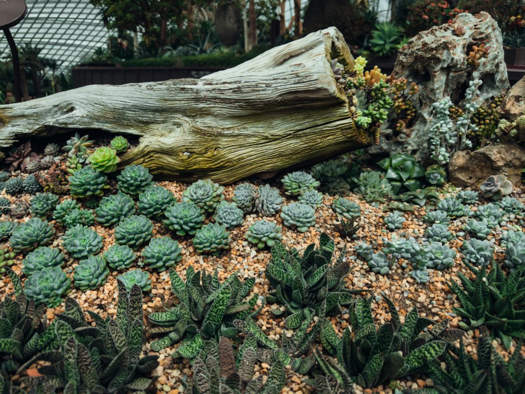 Mulch in Garden Bed