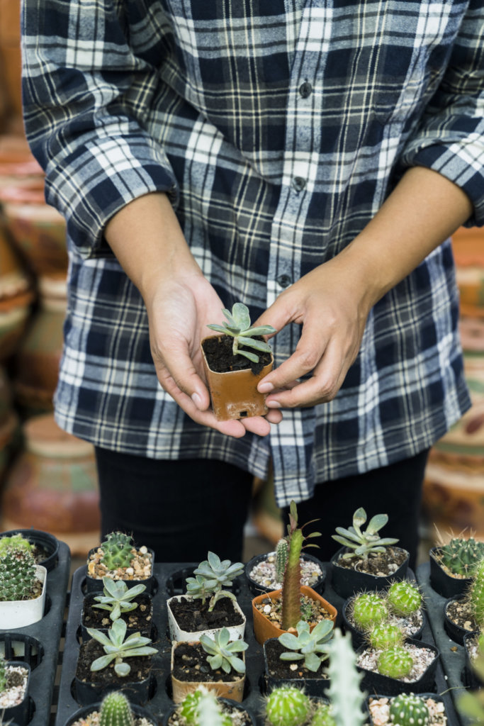 Propagation