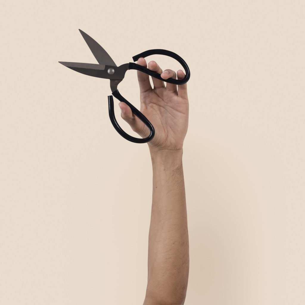 bonsai root scissors