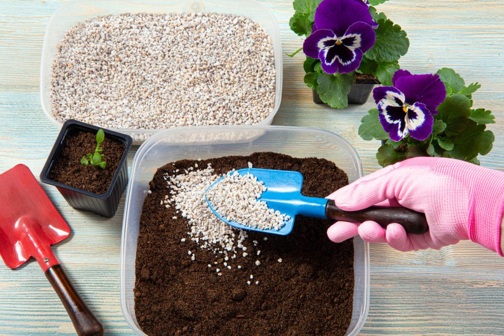 Adding Perlite To Soil