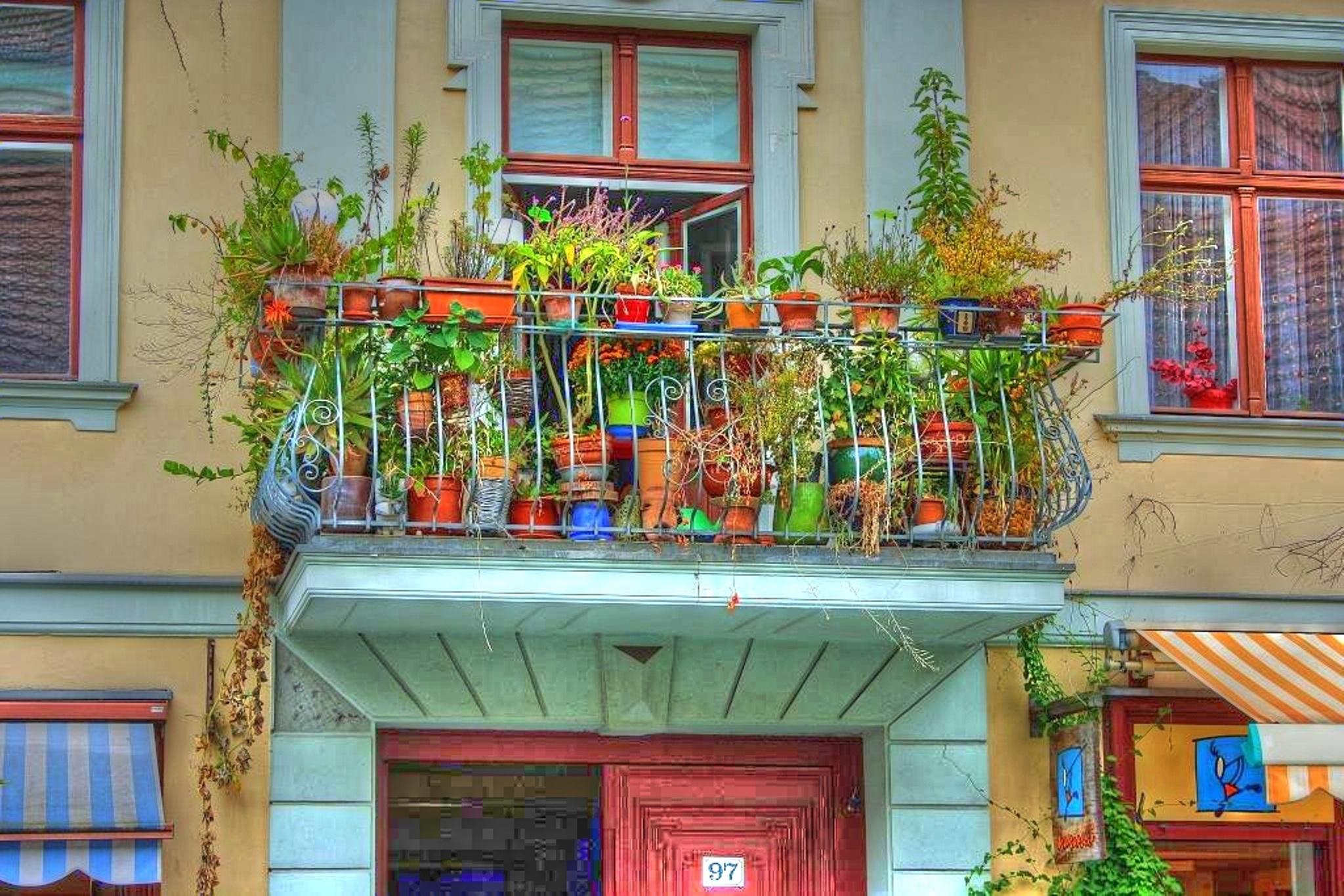 balcony full of succulents and other plants