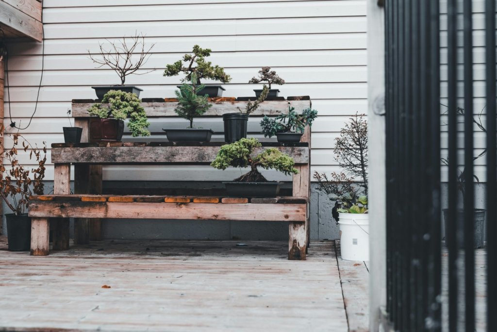 bonsai bench