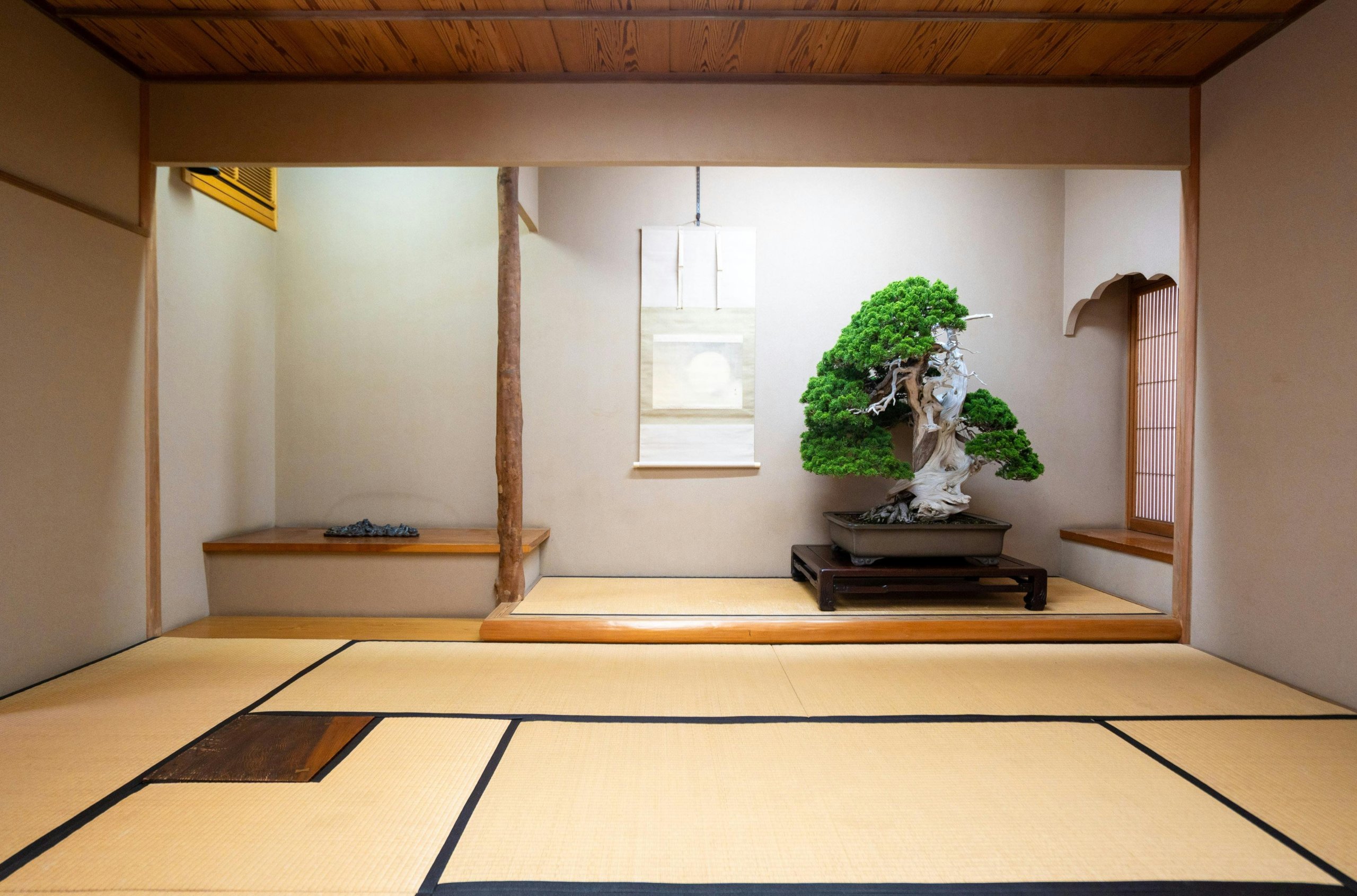 bonsai in japanese tea house