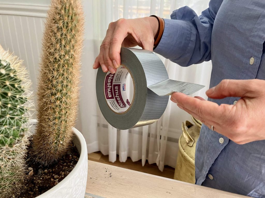 Duct Tape Roll And Potted Cactus