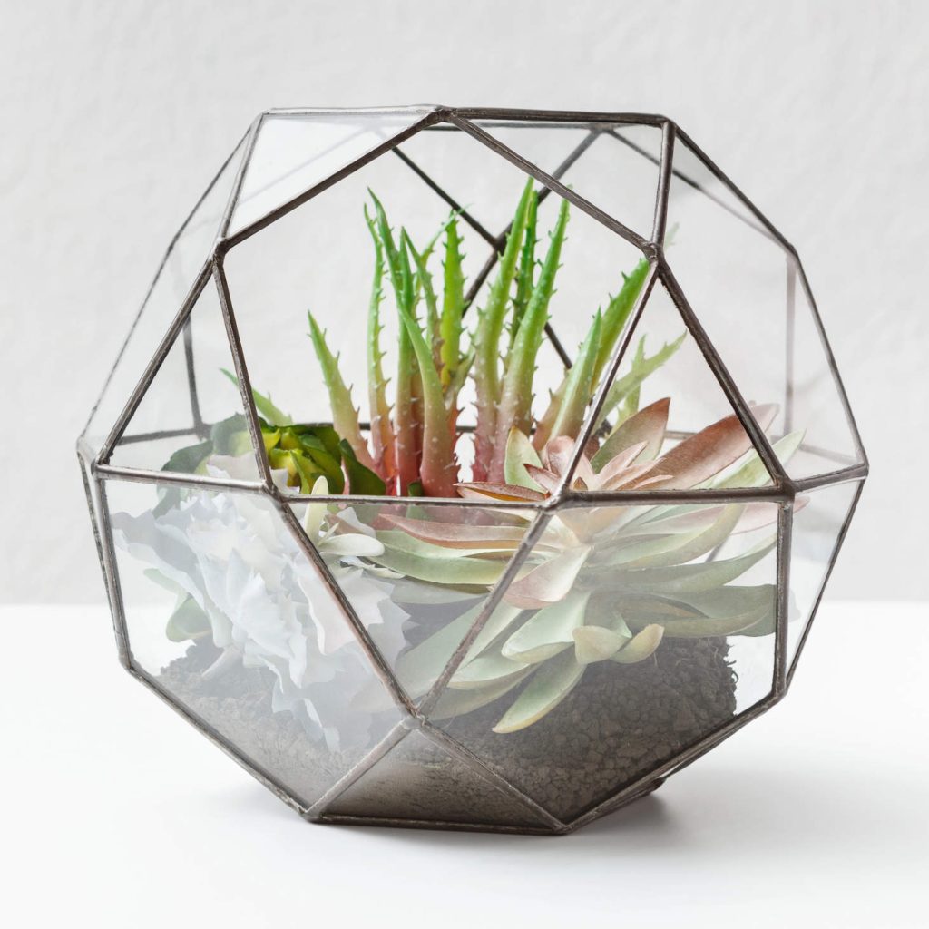 Faceted Glass Terrarium Holding Succulents