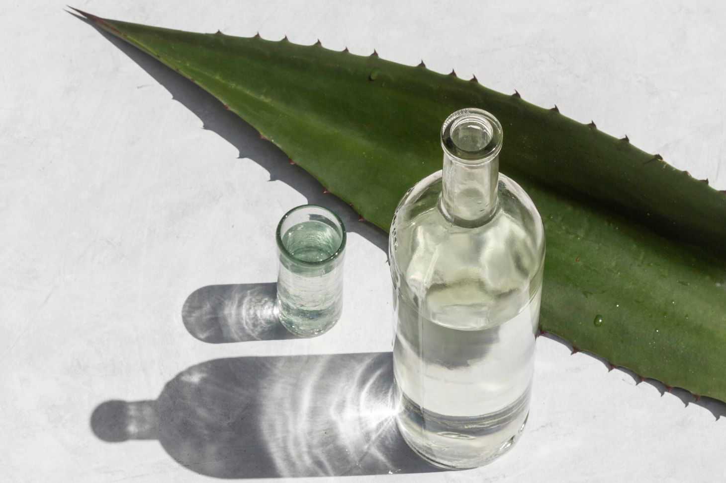 Mezcal