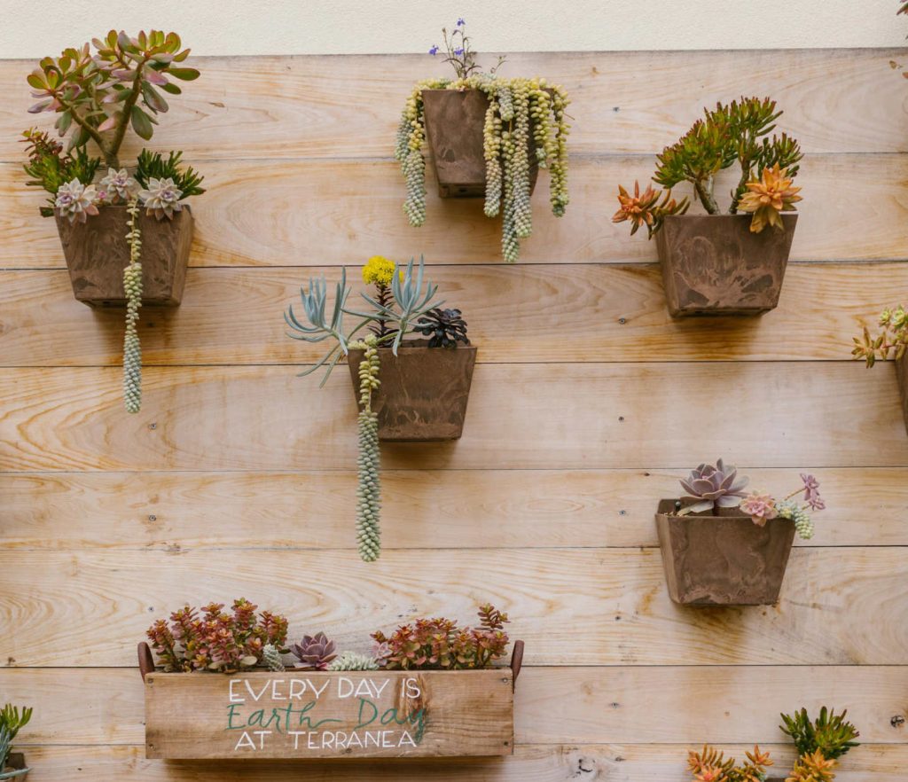 Rustic Succulent Wall