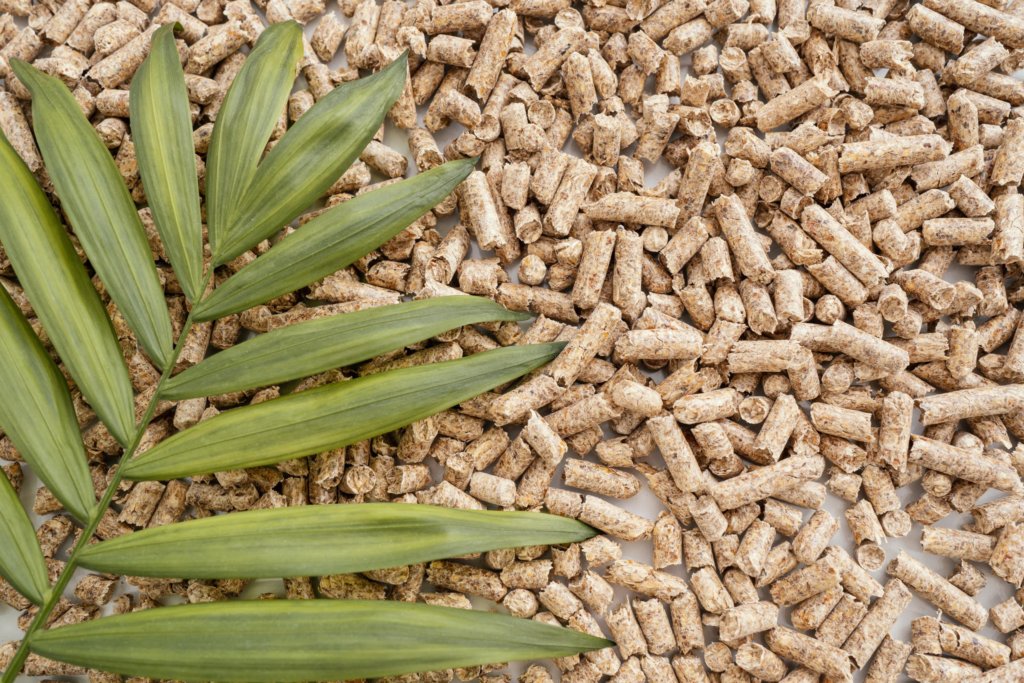 slow-release fertilizer for succulents (pellets)
