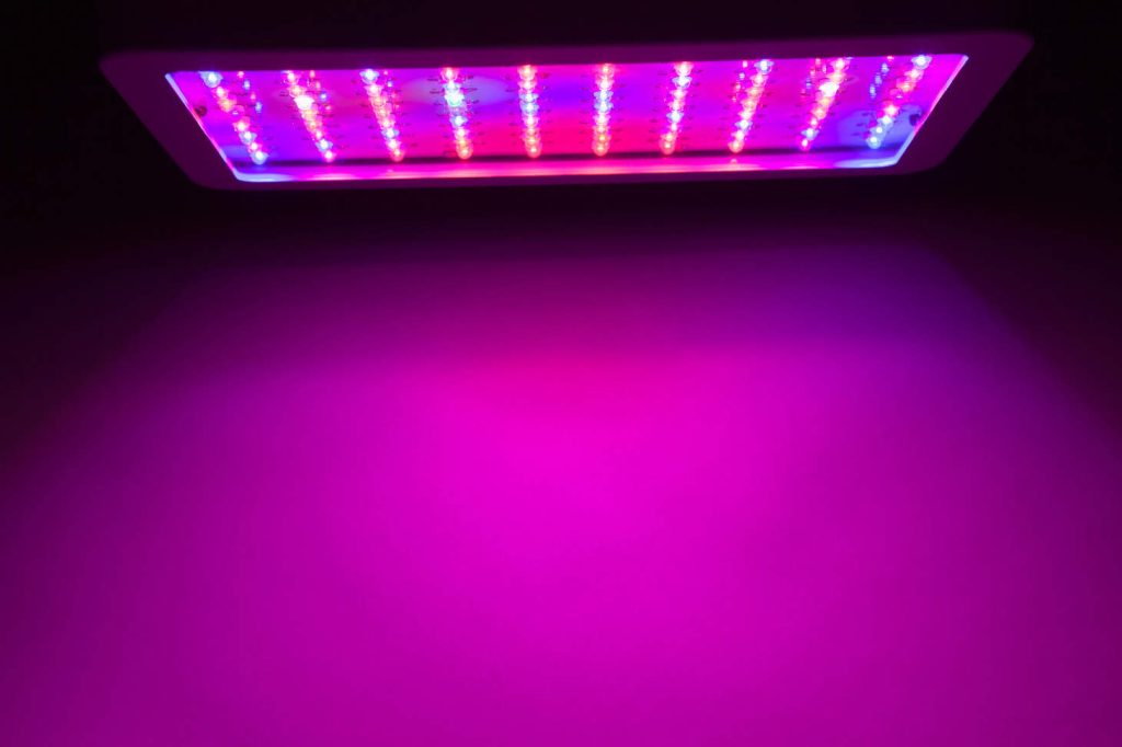 Square Grow Light