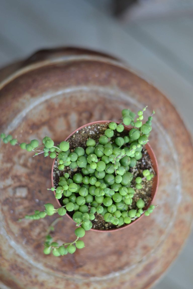 String Of Pearls From Above