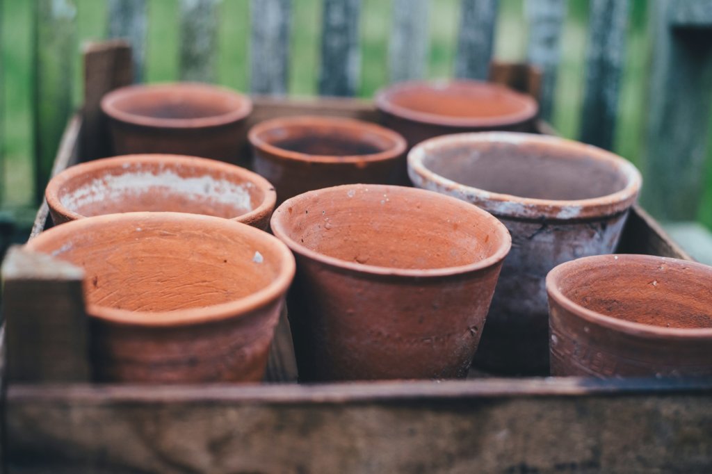 succulent pots