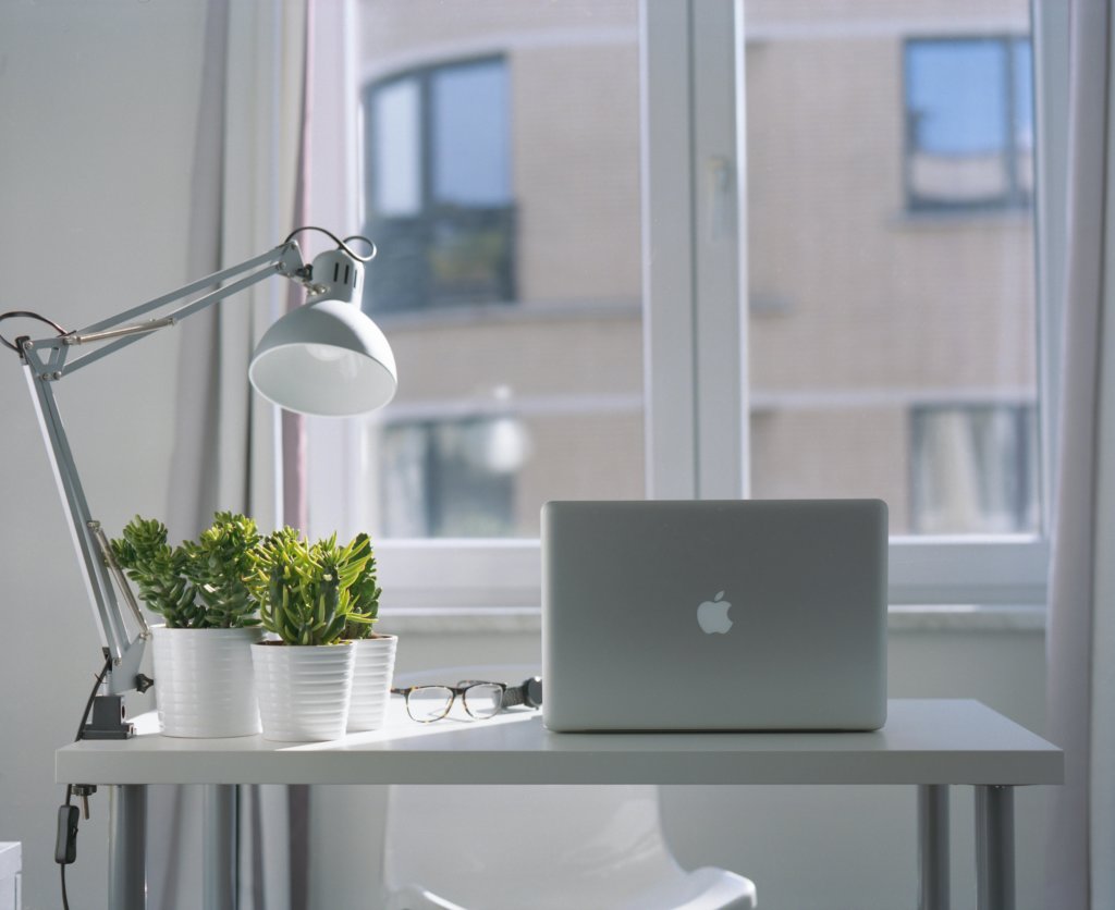 succulents and laptop on office desk