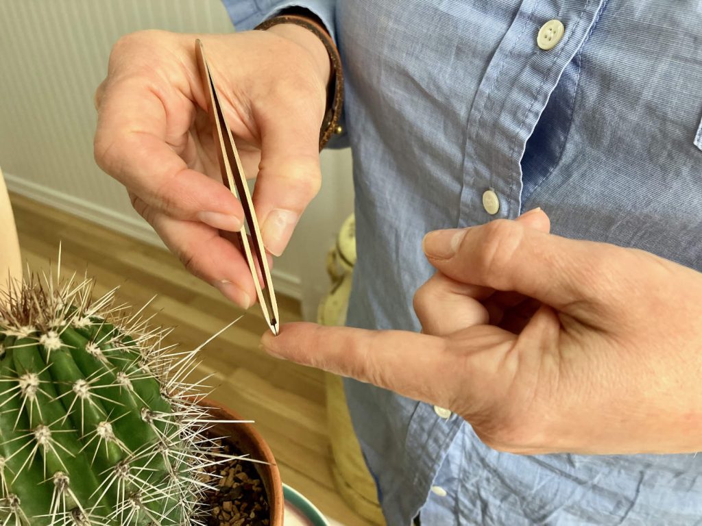 Tweezers And Finger With Cactus