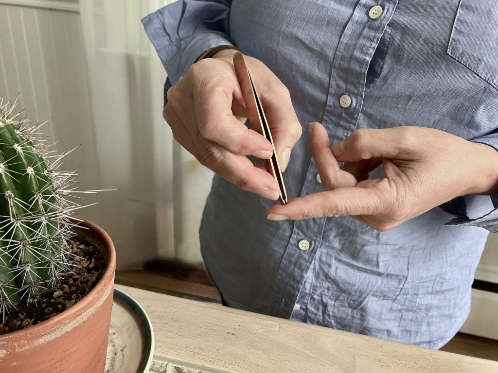 Tweezers On Finger Near Cactus