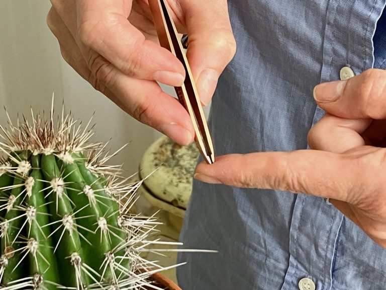 Tweezers On Finger With Cactus