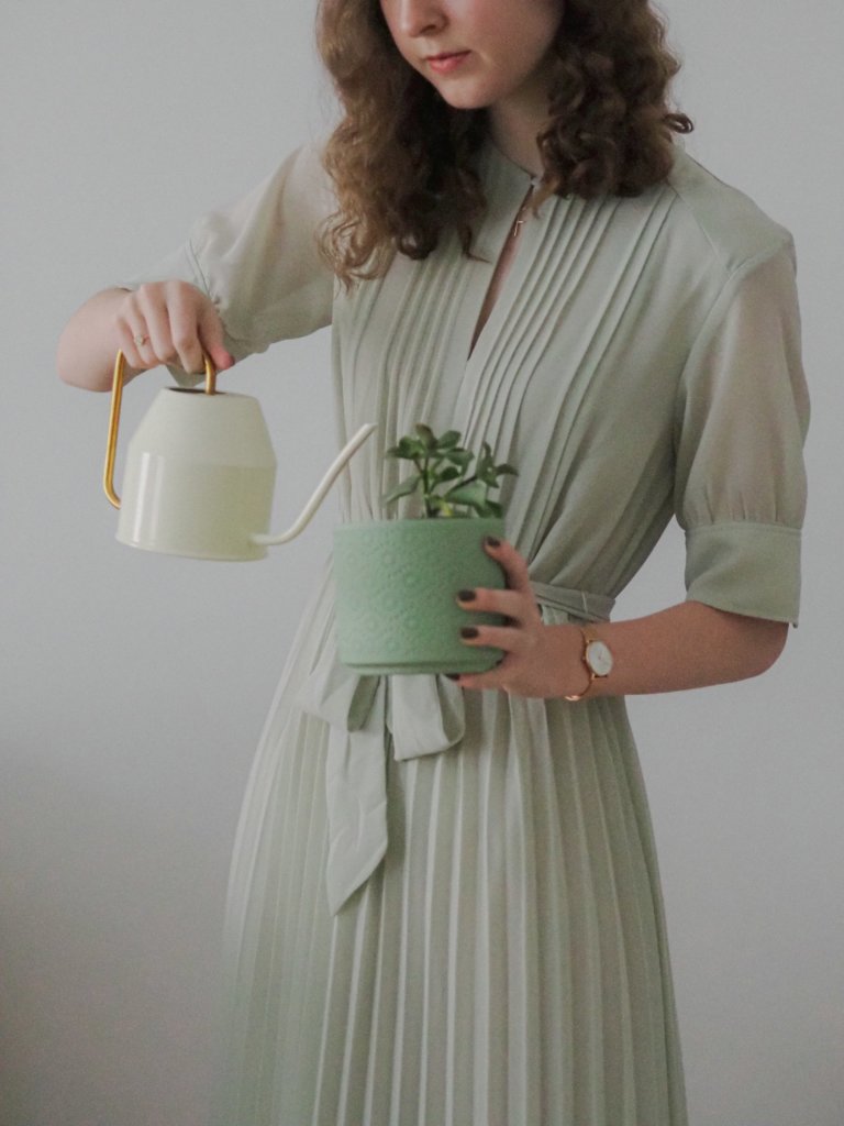 watering succulent indoors