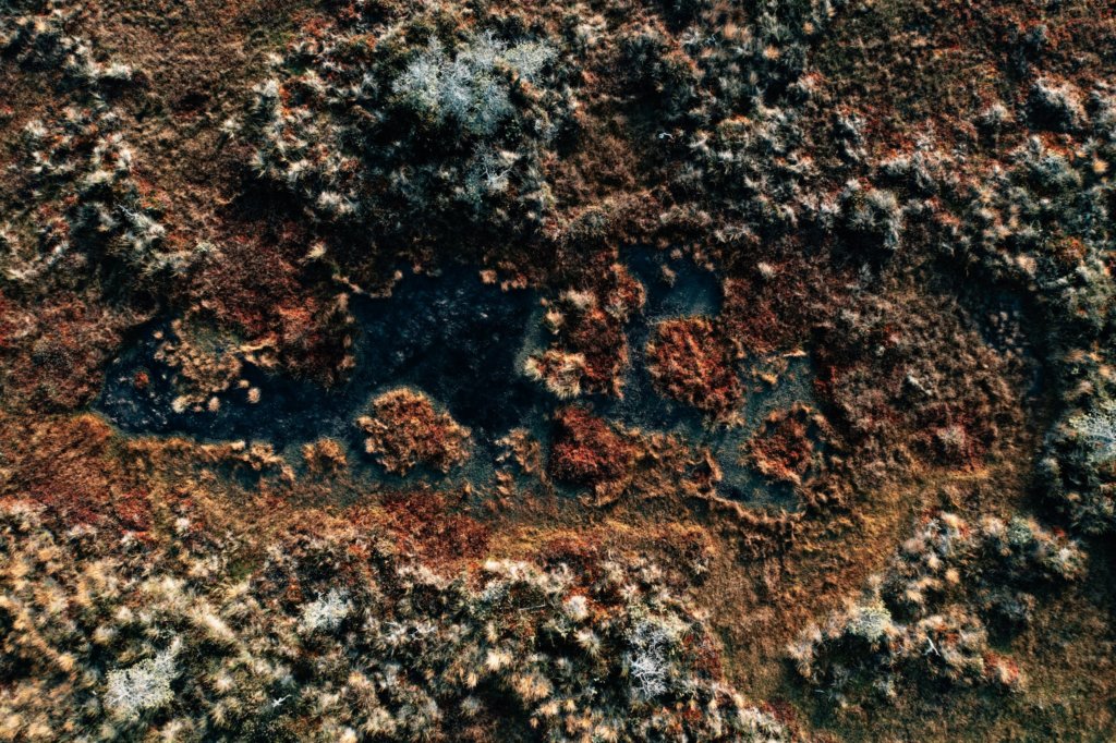 white crust on soil
