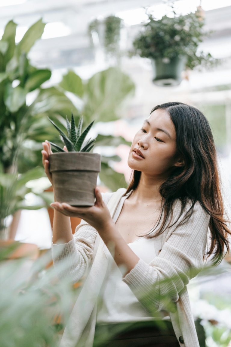 woman holding succulent in pot