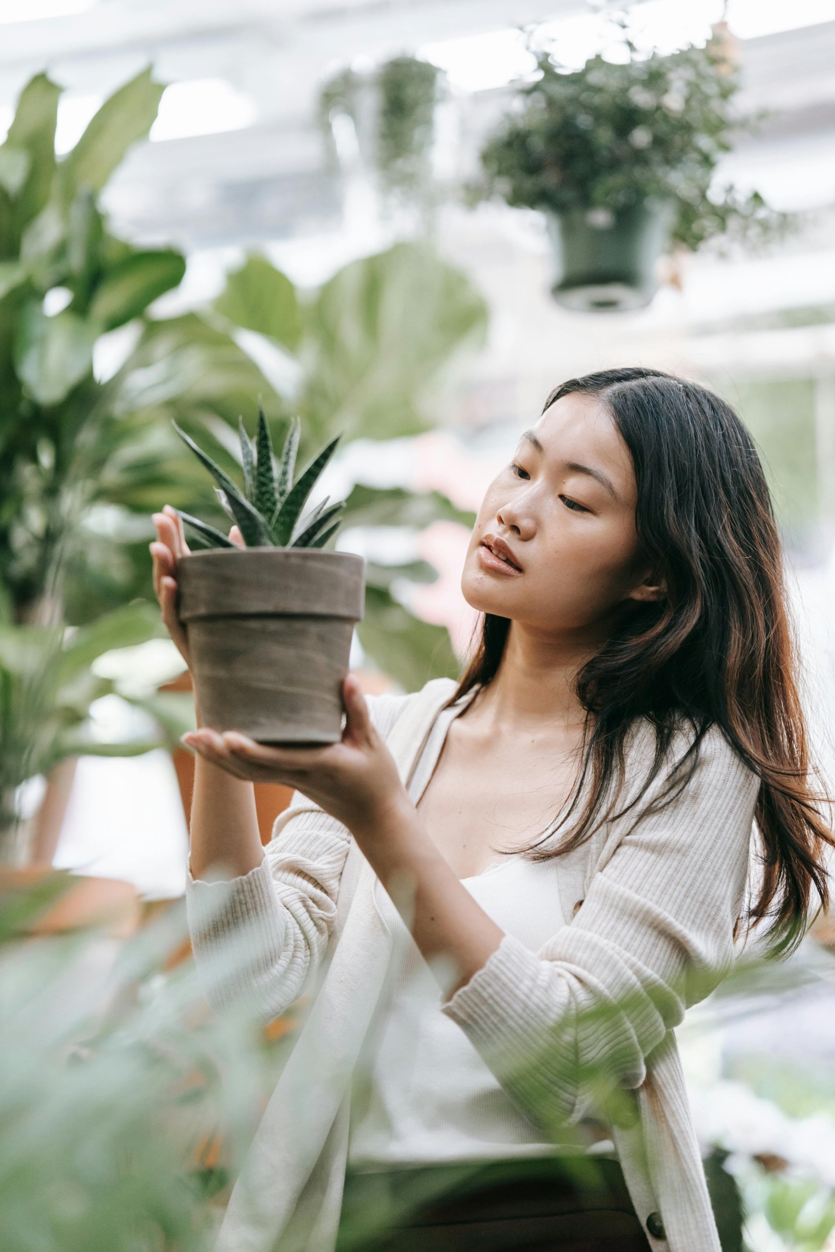 woman holding succulent in pot