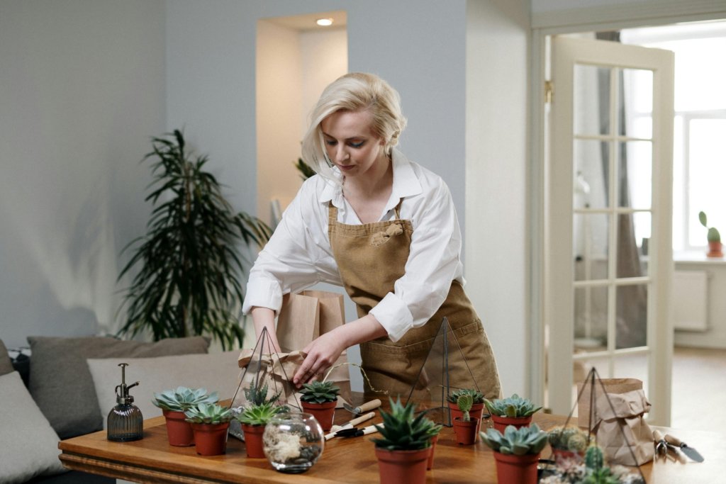 woman planting succulents