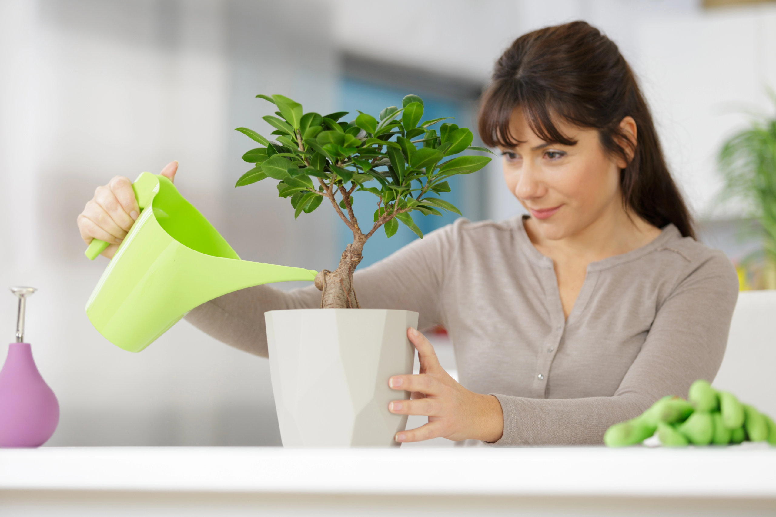 woman watering bonsai