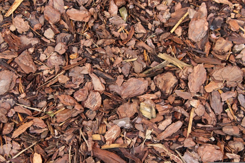 wood bark mulch