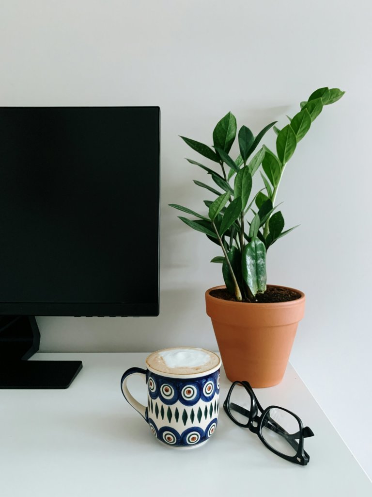 Zamioculcas Zamiifolia (ZZ Plant) on office table